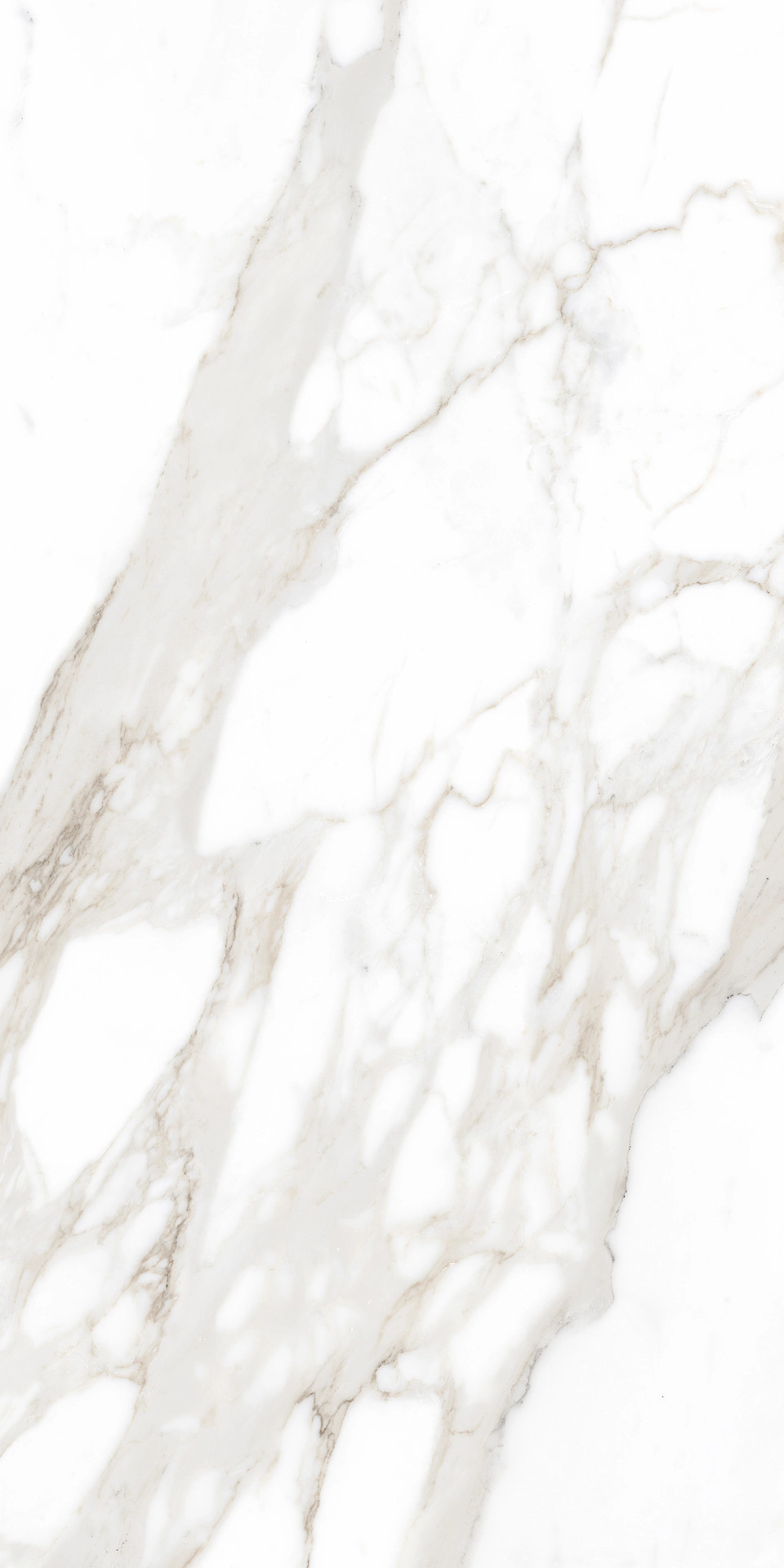 Ragno Incanto Calacatta Nobile Glossy Rettificato 60x120cm