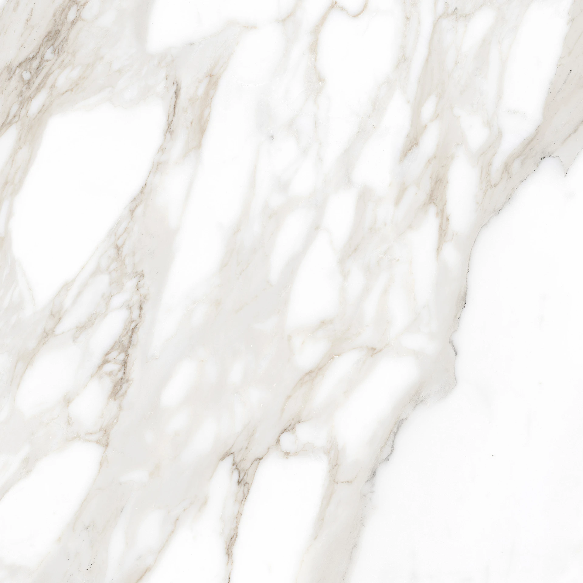 Ragno Incanto Calacatta Nobile Glossy Rt 60x60cm