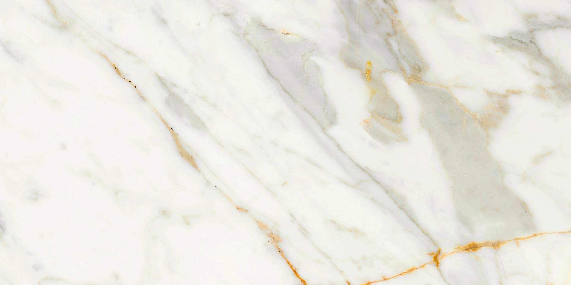 Ragno Incanto Calacatta Michelangelo Glossy Rt 30x60cm