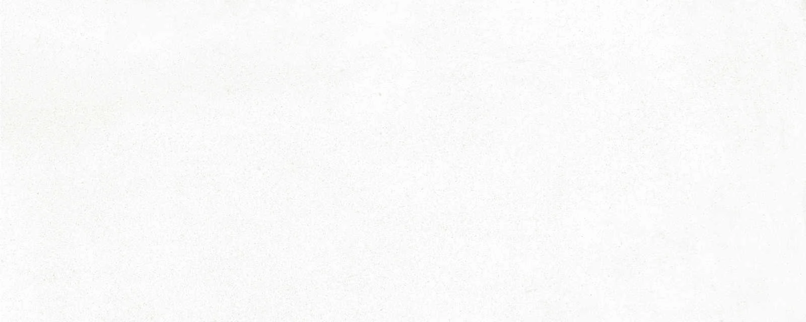 Ragno Replace Bianco 20x50cm