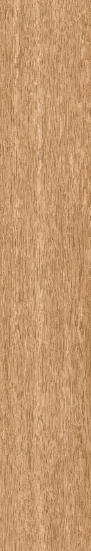 Ragno Woodsoft Beige Scuro Rt 20x120cm