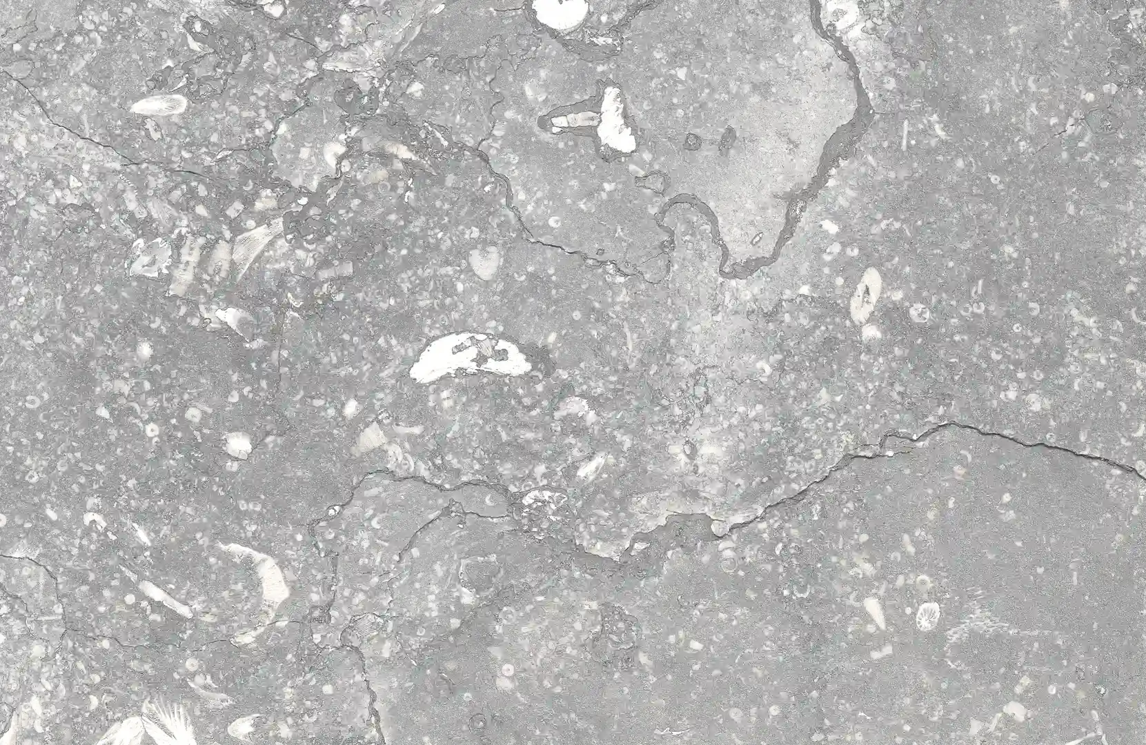 Rondine Bluestone Grey Smartedge 20x30 
