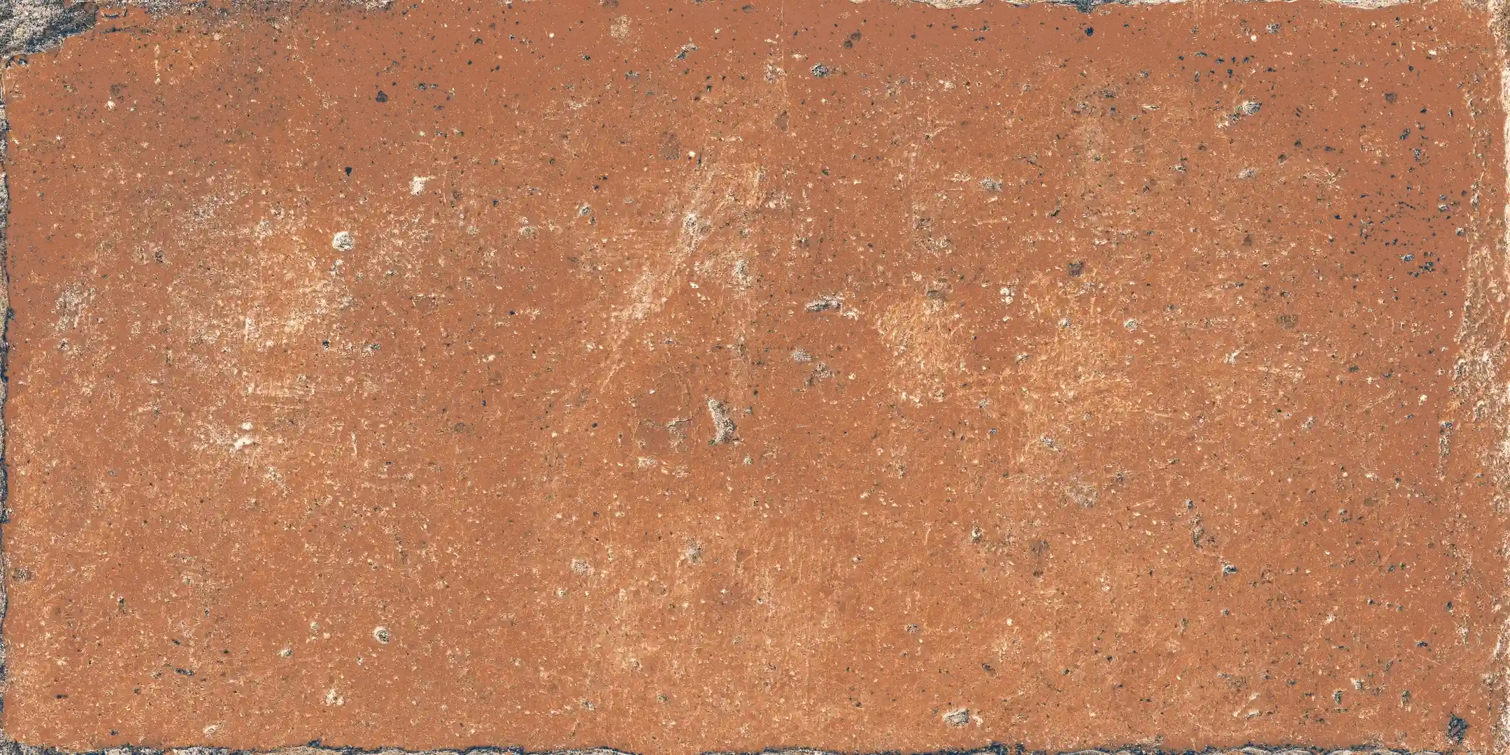 Rondine Tuscany Montalcino Naturale 20.3x40.6