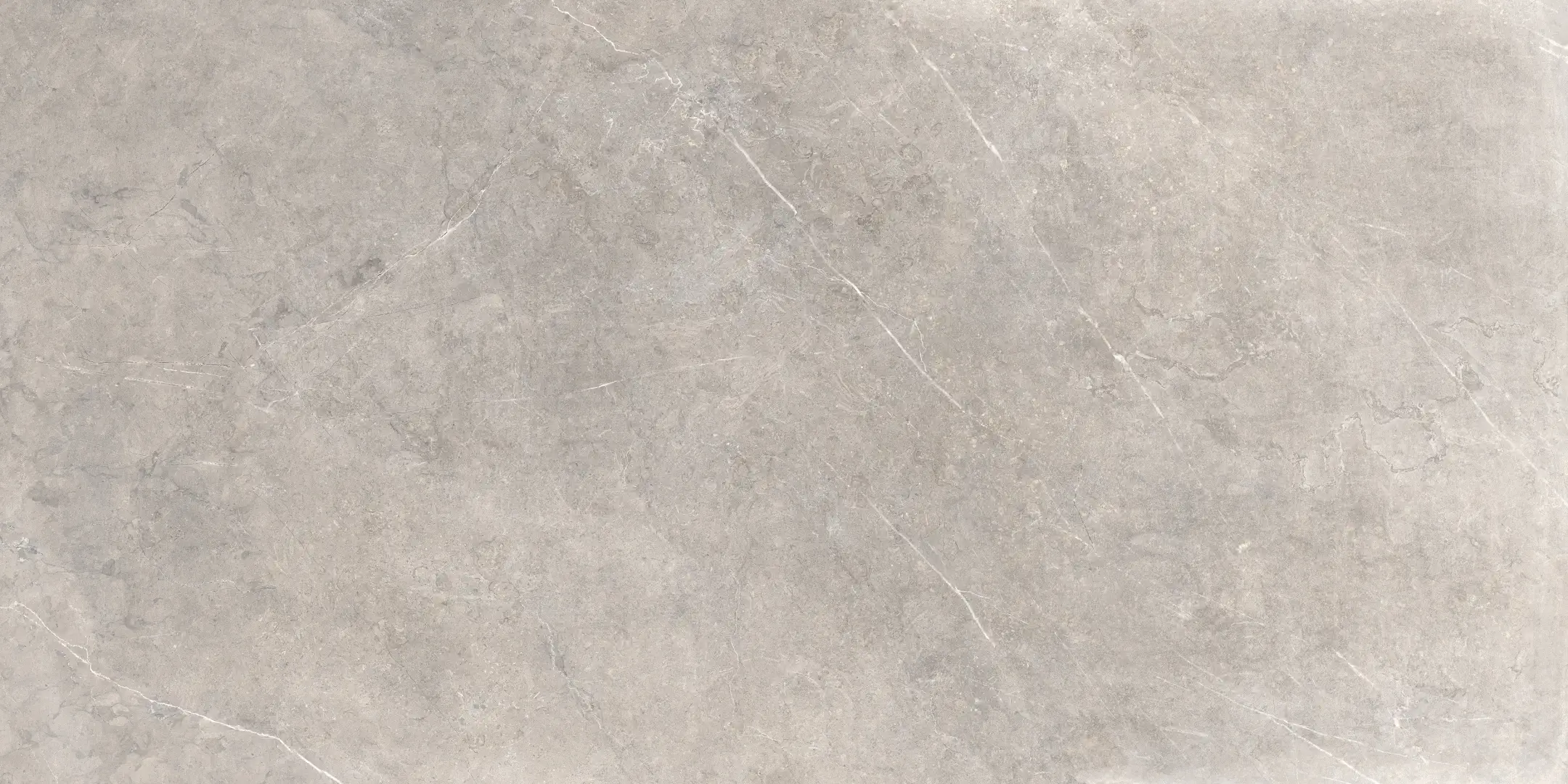 Rondine Canova Carnico Naturale 60x120 Rekt.