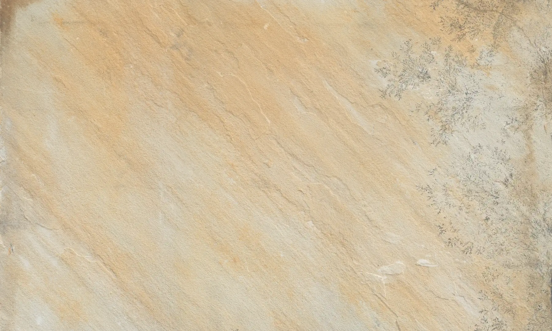 Rondine Sandstones Fossilstone Naturale 60x100 Rekt.