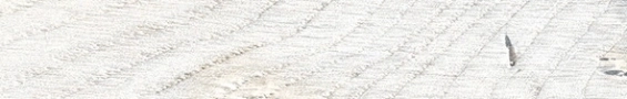 Rondine Daring Ivory Naturale 24x150 