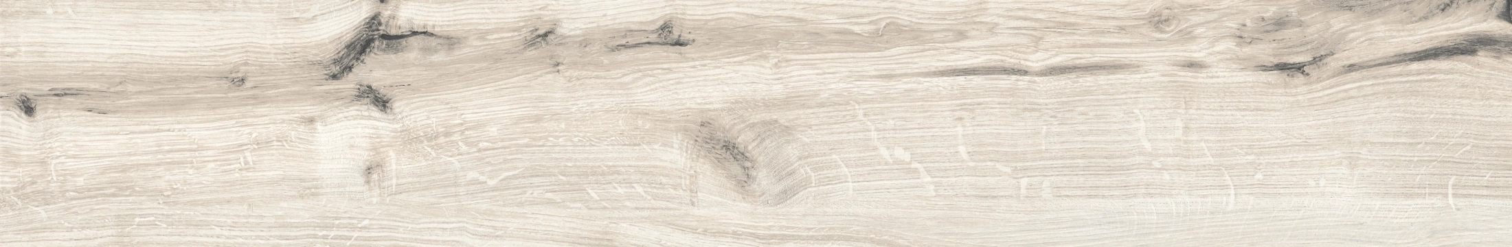 Rondine Timeless Ivory Advance 24x150