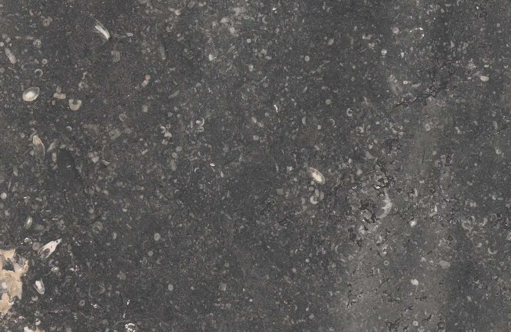 Rondine Bluestone Black Smartedge 20x30 