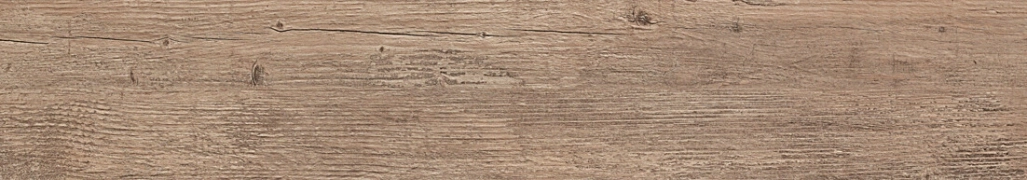 Saime Alpi Beige Naturale 20x120  Rekt.
