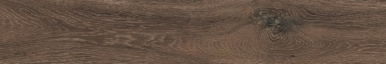 Ceramica Sant'agostino Barkwood Burnt Naturale 20x120cm Rekt. /CSABA7BU20  
