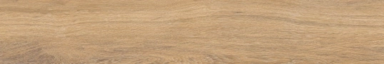 Ceramica Sant'agostino S.wood Gold Naturale 20x120cm Rekt. /CSAWOGOL20