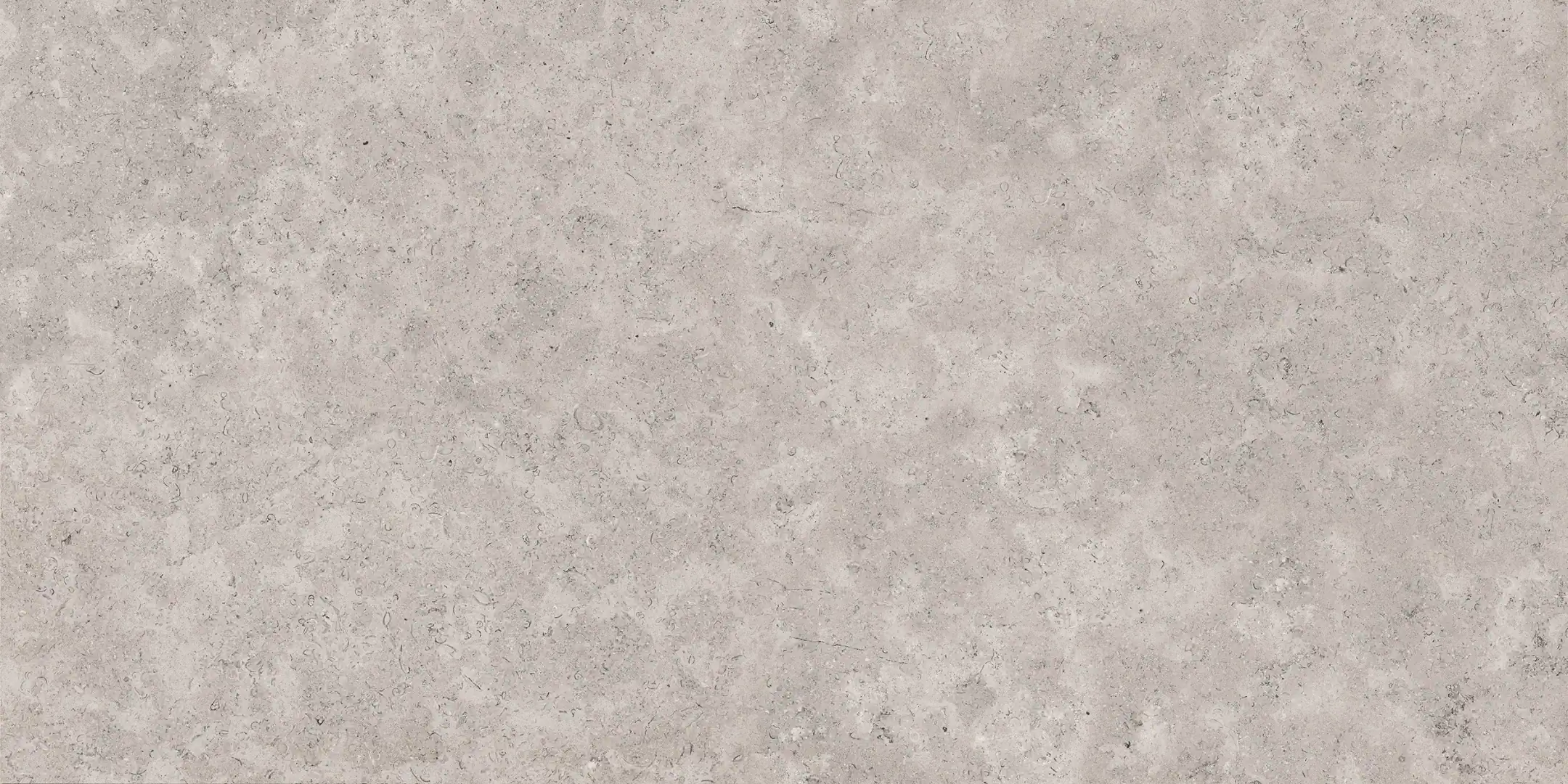 Ceramica Sant'agostino Unionstone 2 Cedre Grey Naturale 60x120cm Rekt. /CSACEDGR60  