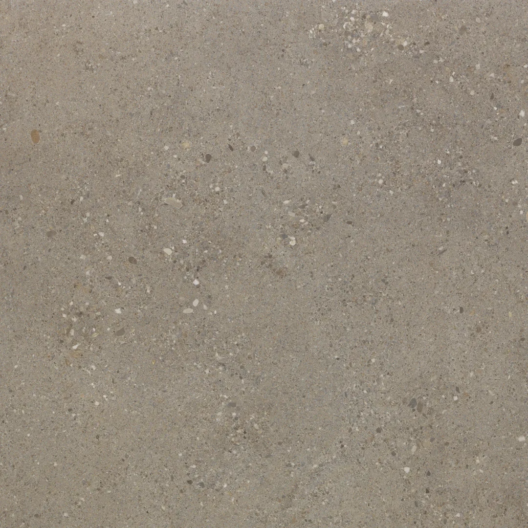 Sintesi Frammenti Terra Naturale 60x60  