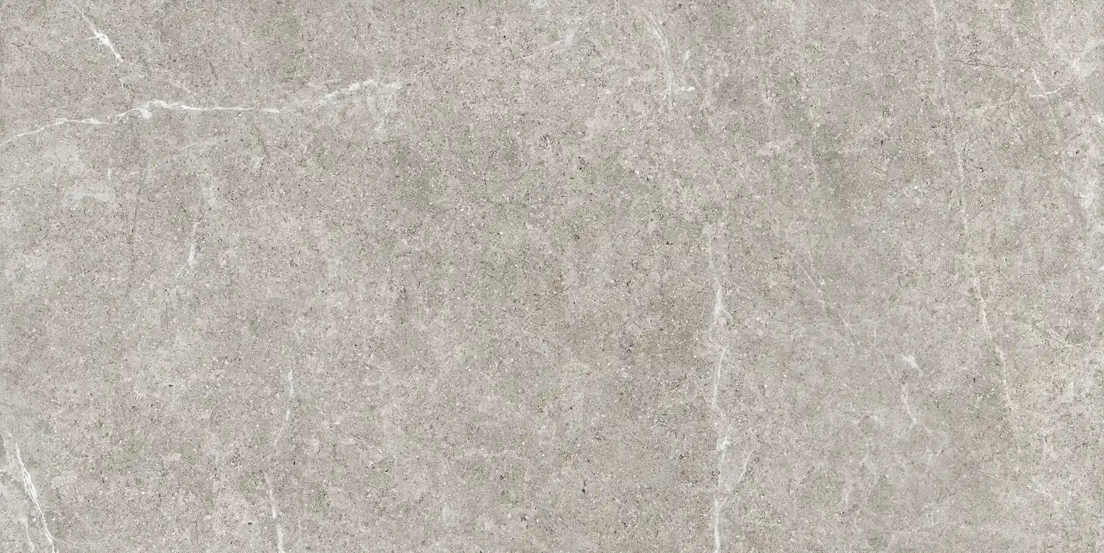 Tuscania Holystone Grey Naturale 30.8x61.5 