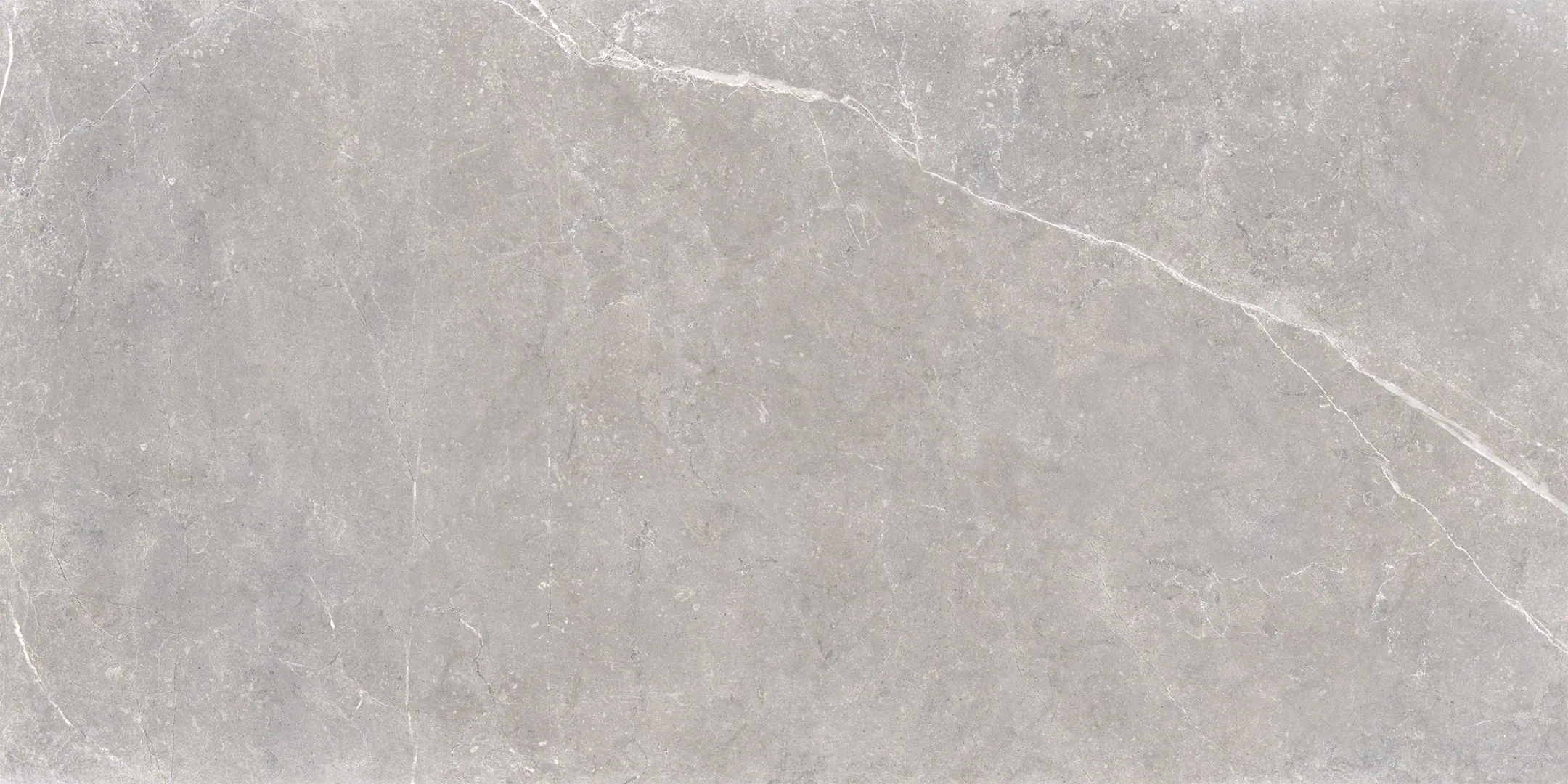 Unicom Starker Evostone Mist Naturale 60x119.5 cm rekt.