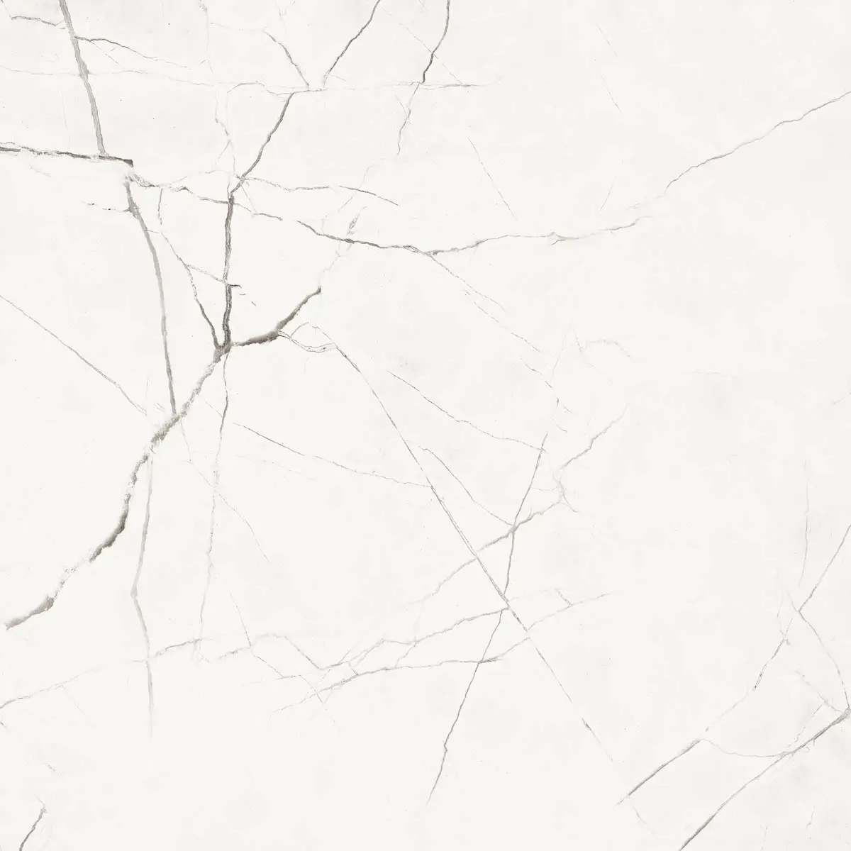 903b23a82dd3ff42fc482dd2d7f61bea