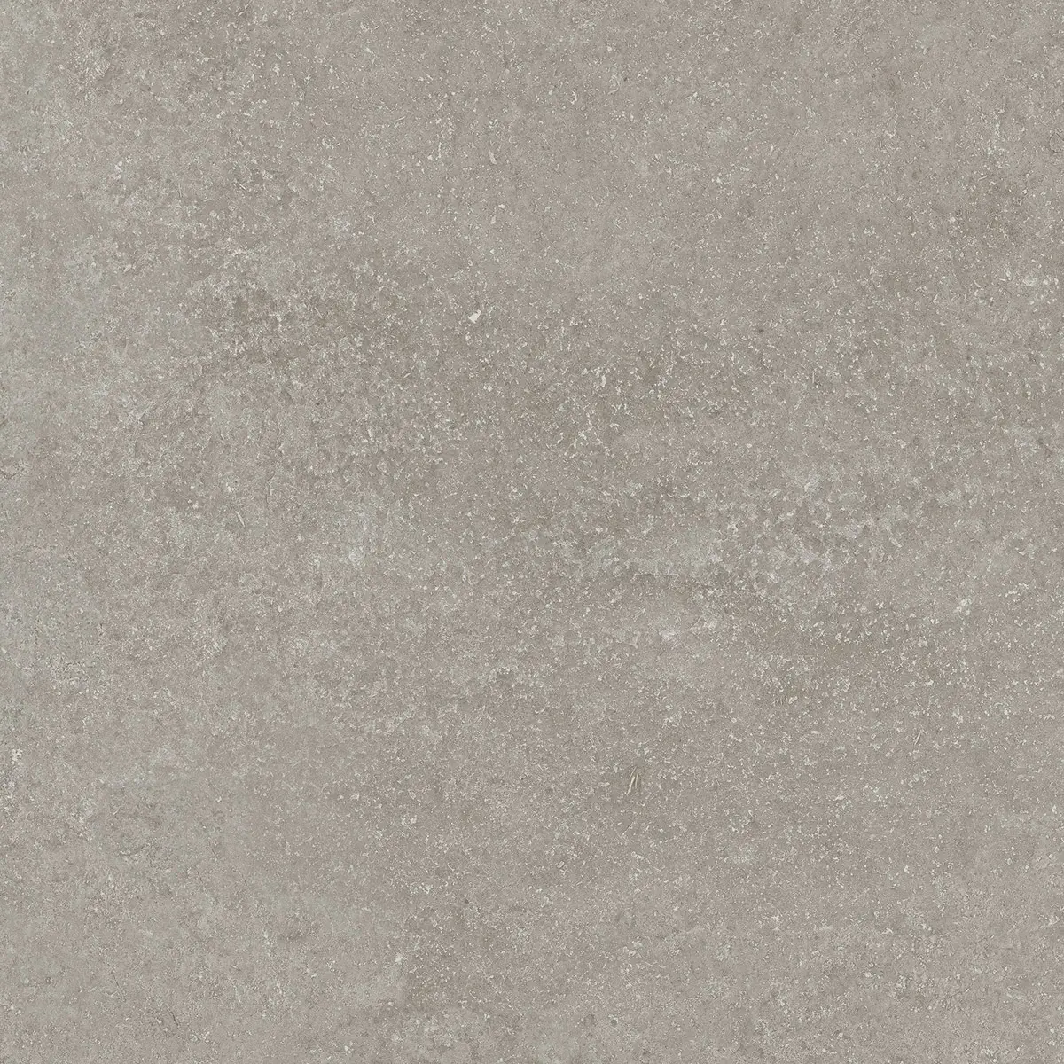 6efe886b92db0186e251d7294f2800d2