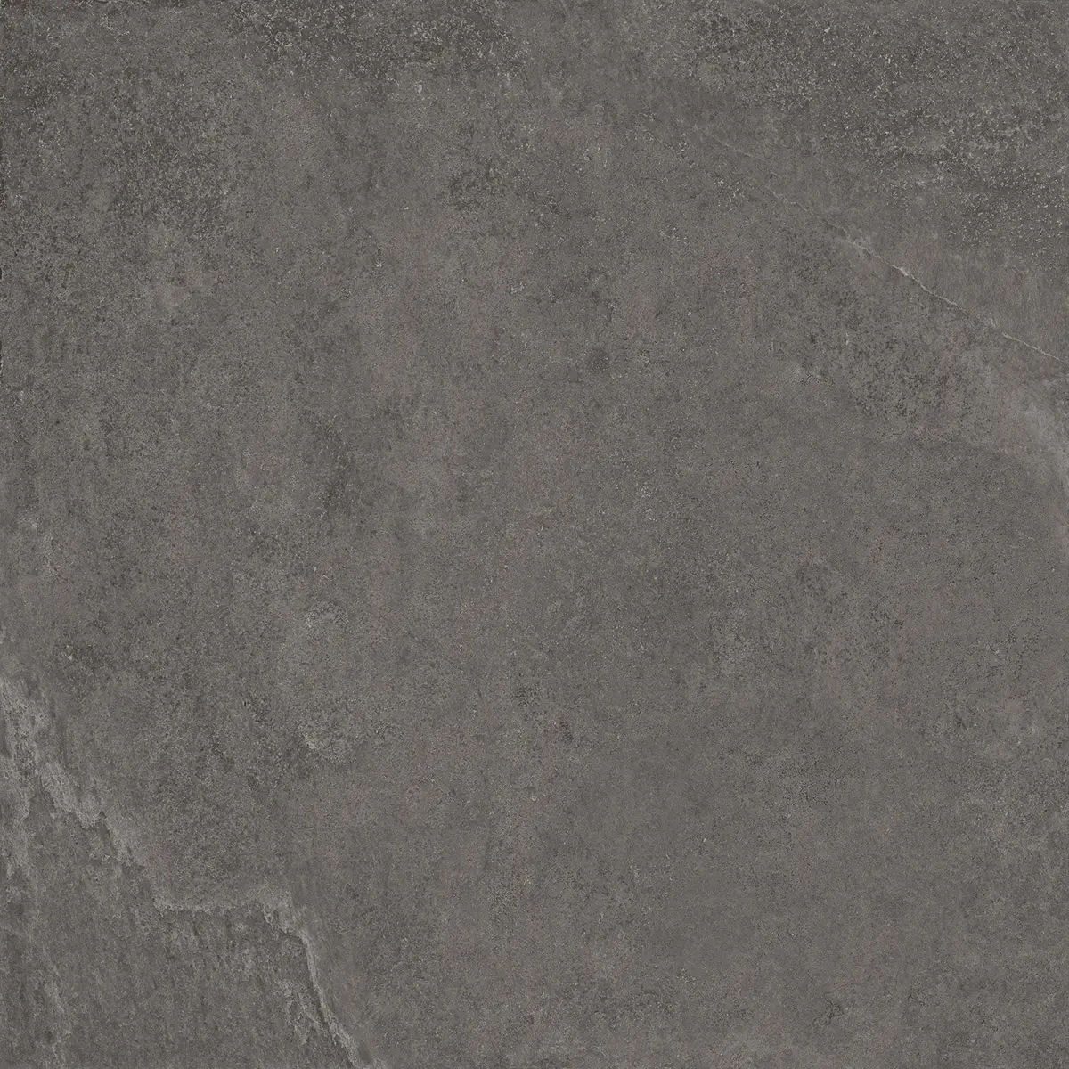 8d7dc101a6f0d8e262ca9fcbaa25f7a0