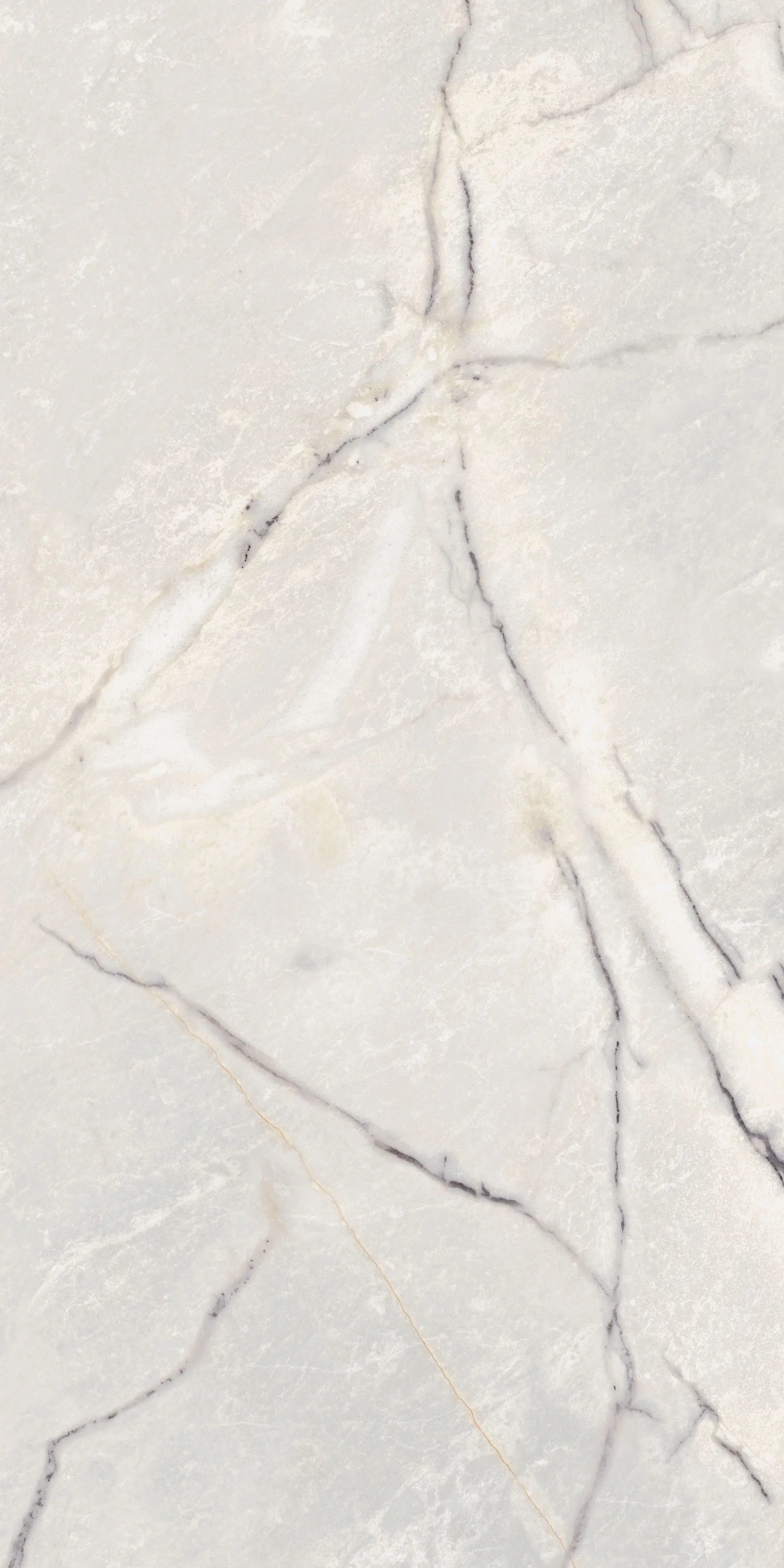 Supreme Treasure Greylac Platinum 60x120_02.www.lazienek.pl.webp