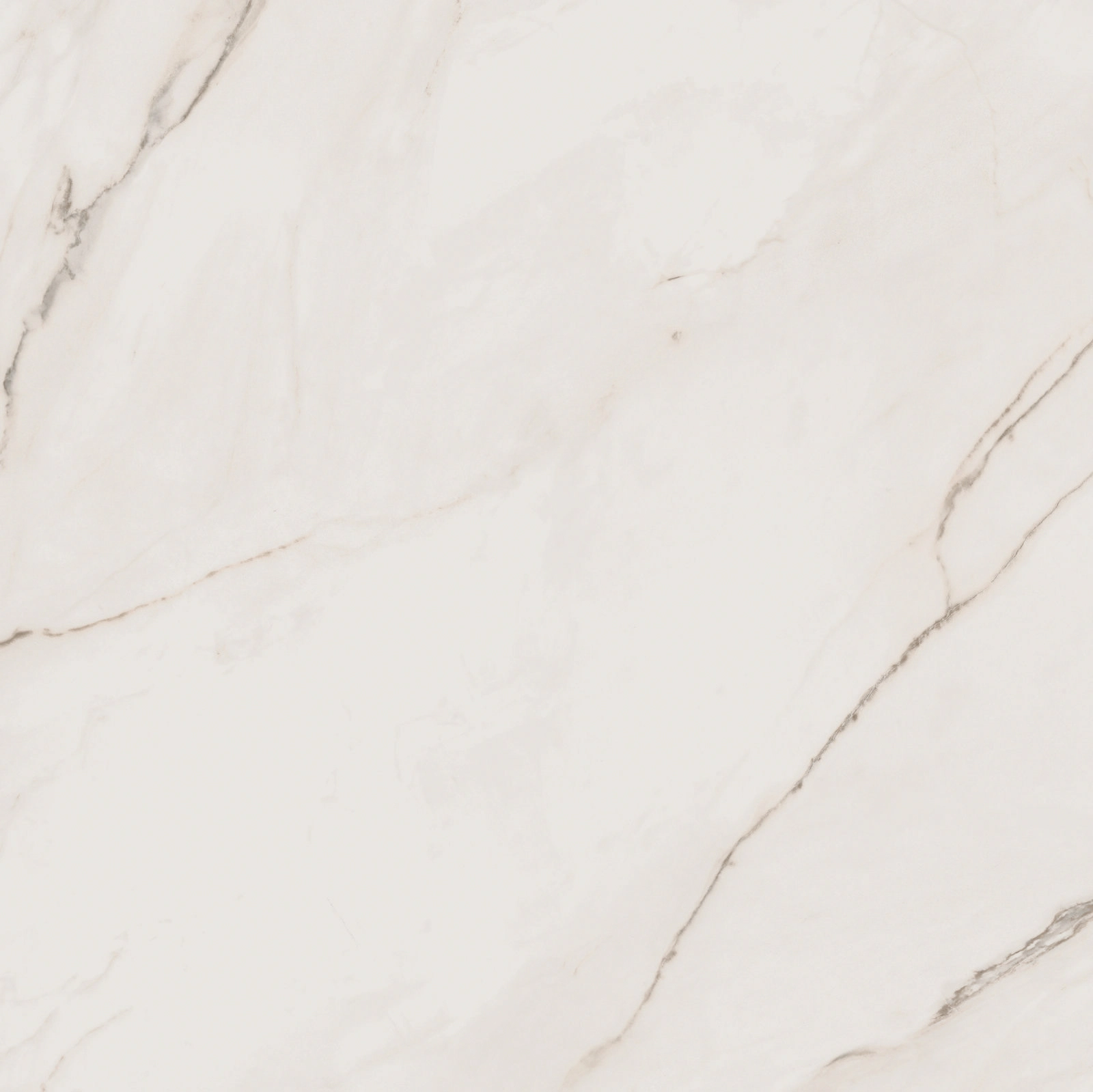 CALACATTA EXTRA 120X120_02.www.lazienek.pl.webp