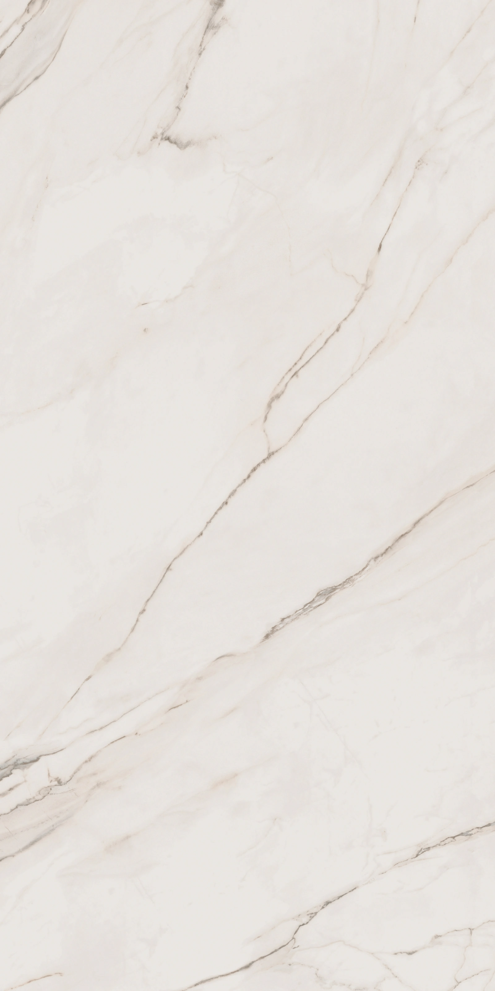 CALACATTA EXTRA 120X240_02.www.lazienek.pl.webp