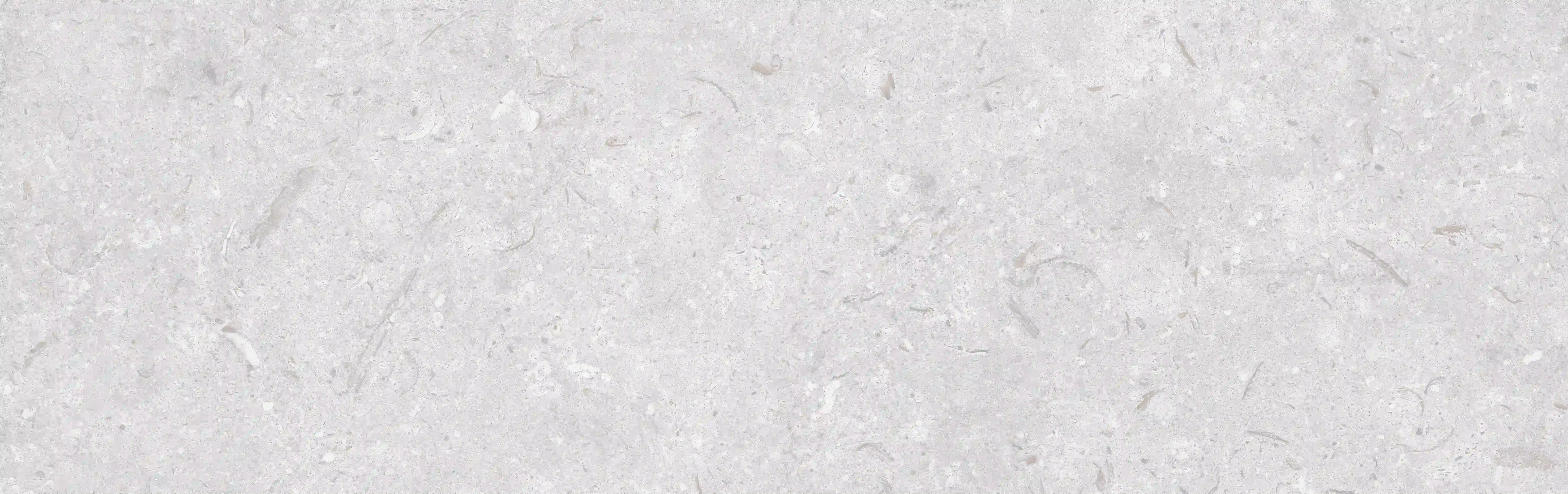 2079d1143e3175f0d885f1d8c5a42409