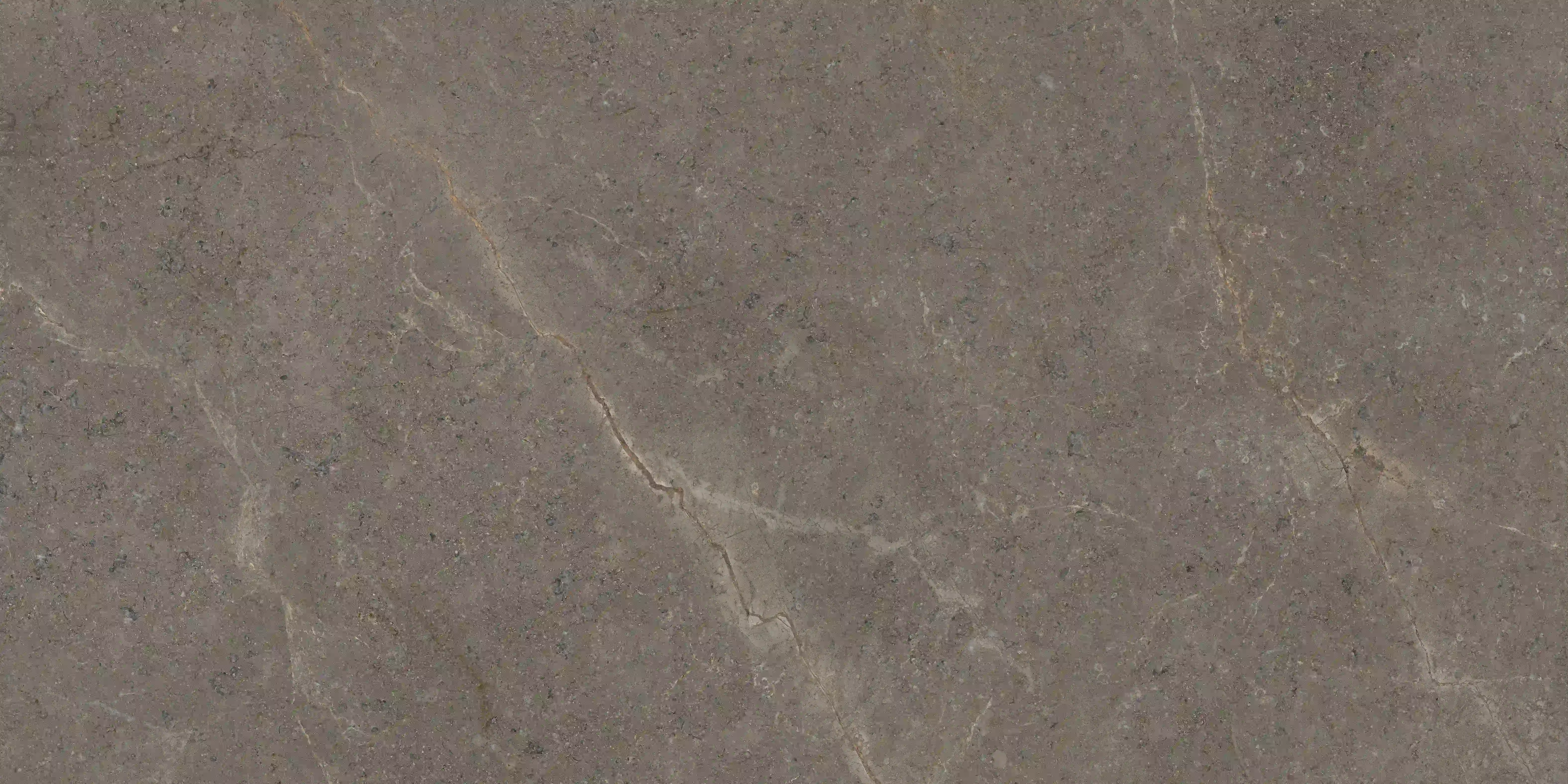 3f93e11d04b1f67b26606d1d4ed32ac8
