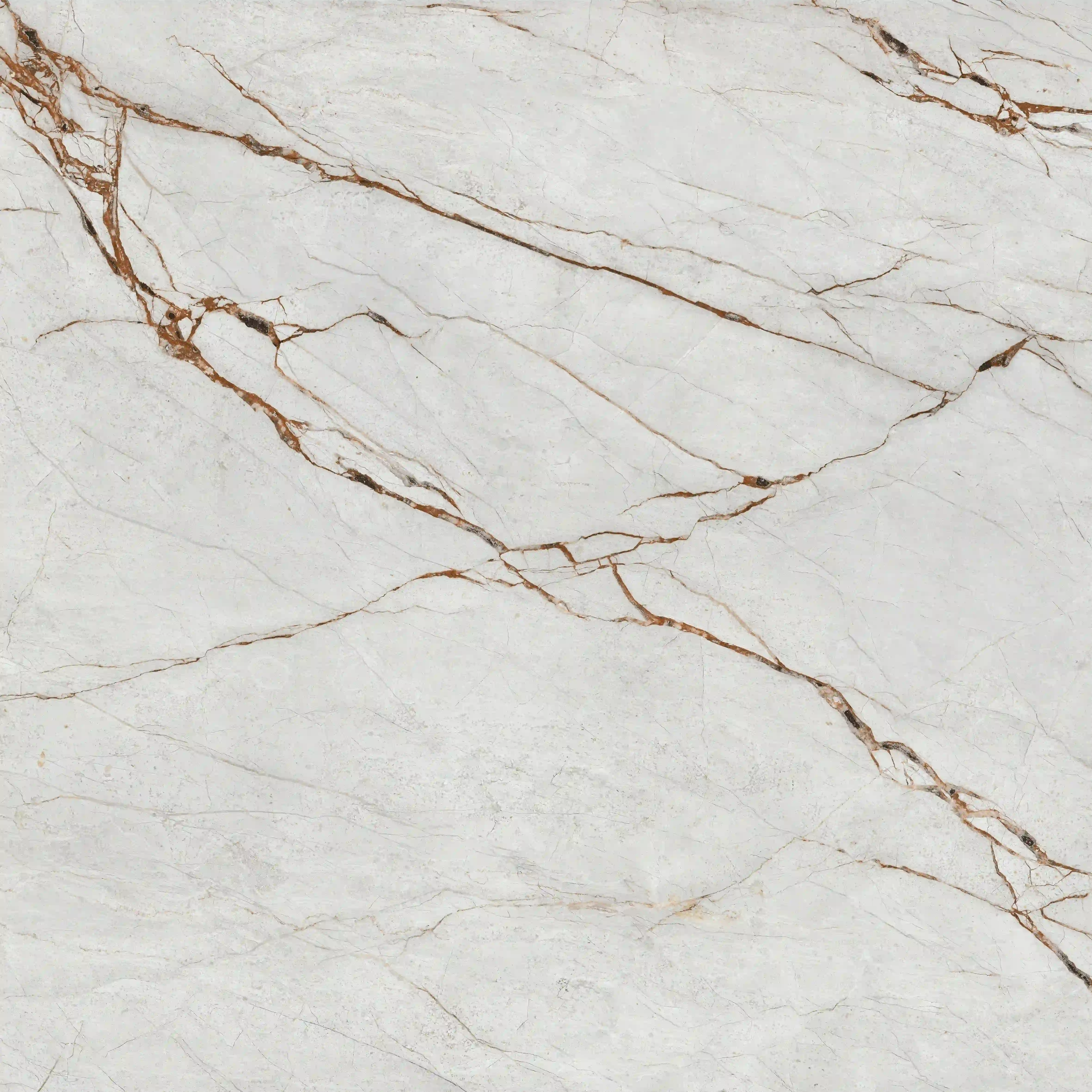 42d5964bdb87ea15eabcea833a7cb9e6