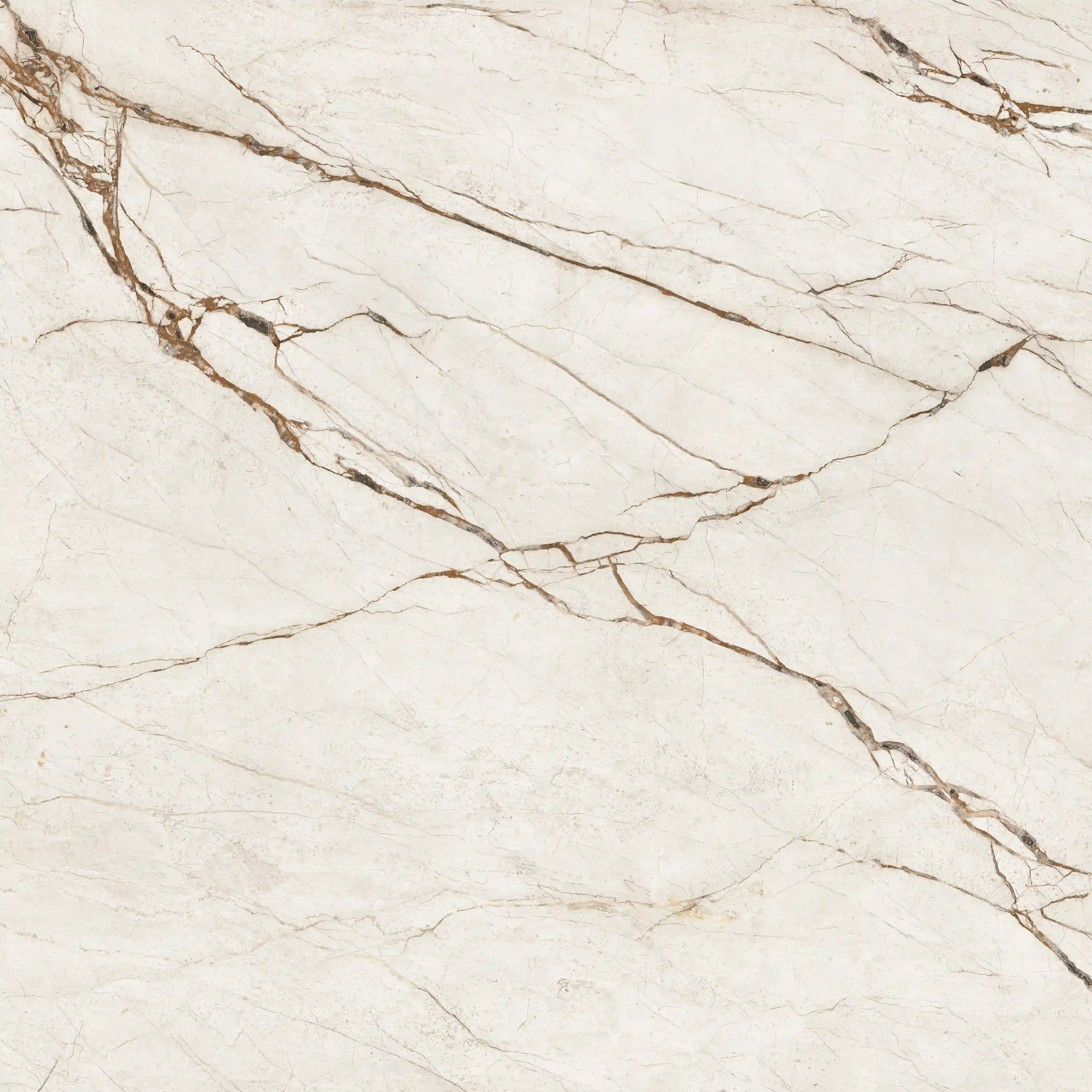 914e6309290cfa347c6bf44ba0303352