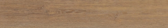 ab6c2632729a0dcb8a6fa21831a27021