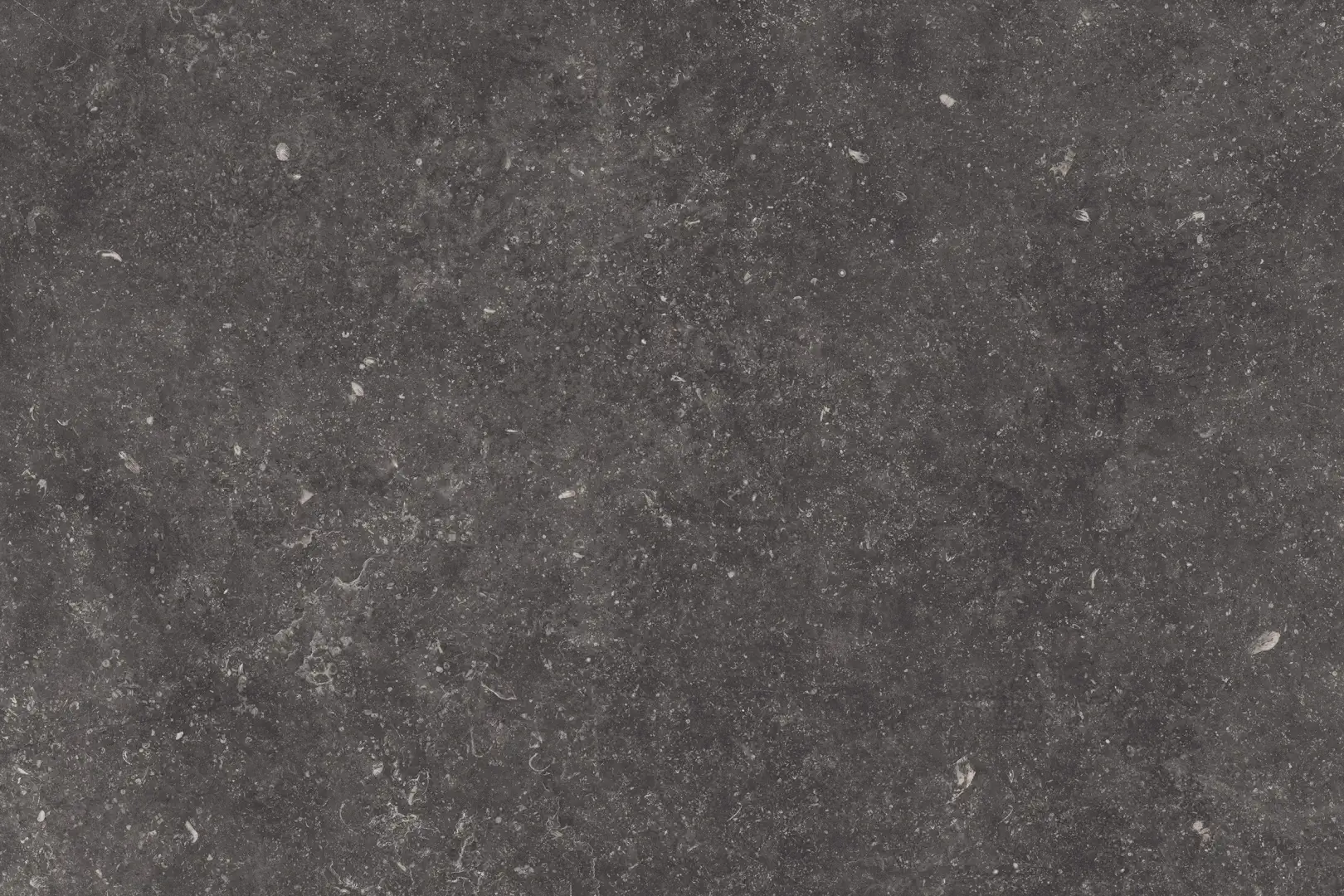 3e392614e5c80737f392bbe847593f22