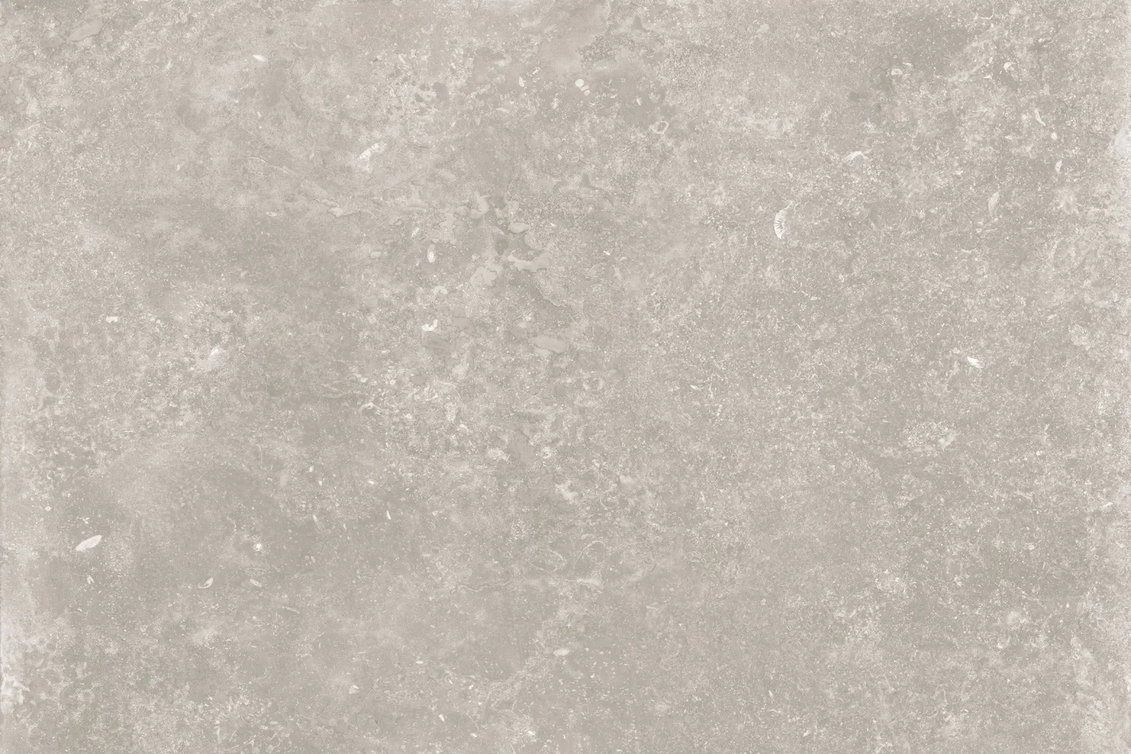 15a9dd06c15f5f89f5abcc5a4183cacf