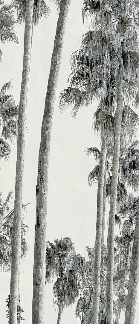 5c0eb6564cda5d129b8cbd24564e8dbc