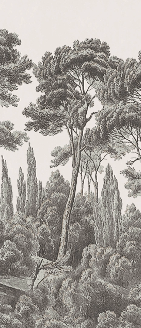 6aea9a1b15c1092b3270a485ec809bc4