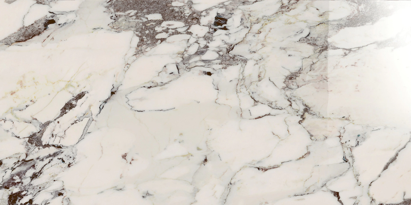 e2a1432f4bcc4b61db2aadc7b981b650