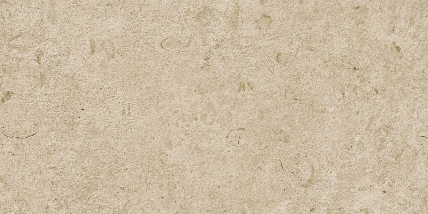 504bfda16bf8aa15c3556c9b3c4db18c