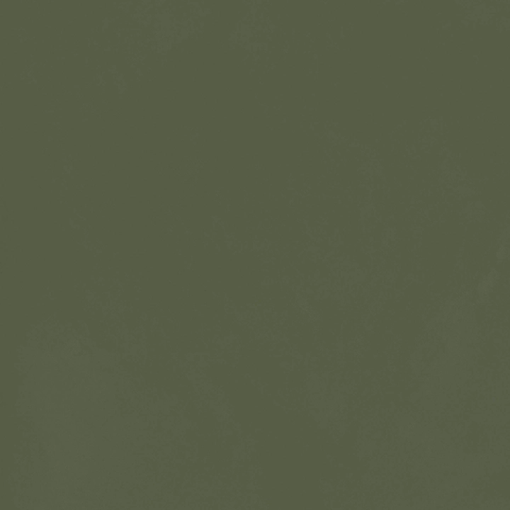 e1ef0de062377f43adfd761ad95f0efc