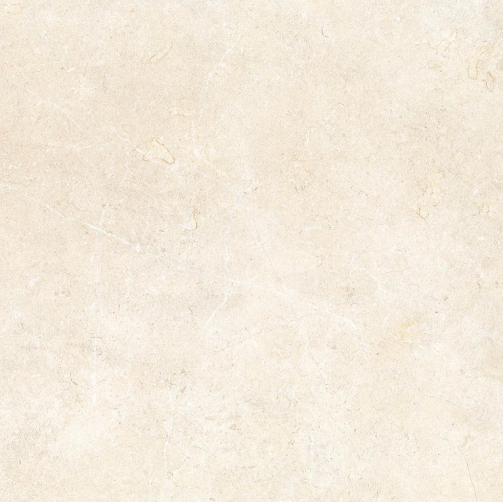 09e4f9a77ba85c40a34cf5ab00fd7f19