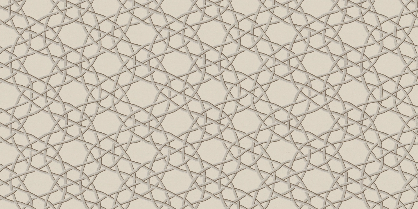 2d552081ff7e28578cb00267a9fffe50