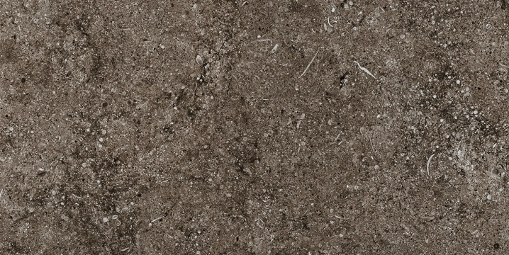 31161356a35b136bdb0d7a68444fb40e