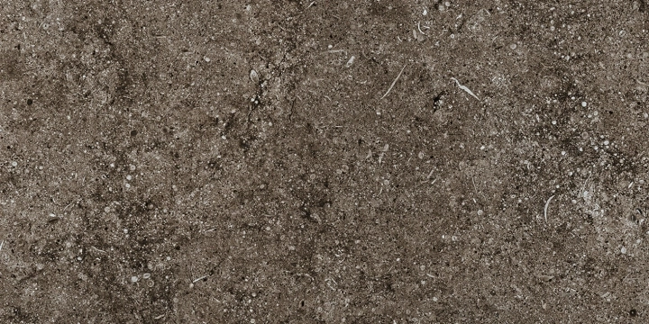 Florim Sensi Brown Fossil naturalna 40x80 - płytka imitująca kamień