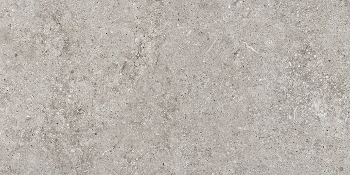 Florim Sensi Grey Fossil naturalna 40x80 - płytka imitująca kamień