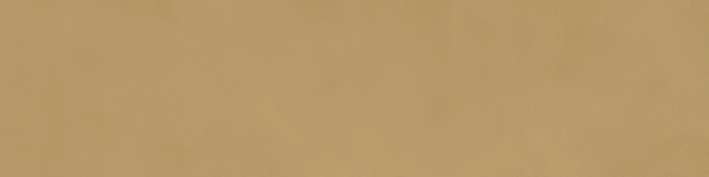 Ragno Decora Senape 30x120 - płytka imitująca kamień