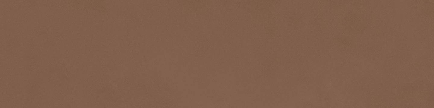 Ragno Decora Terracotta 30x120 - płytka imitująca kamień