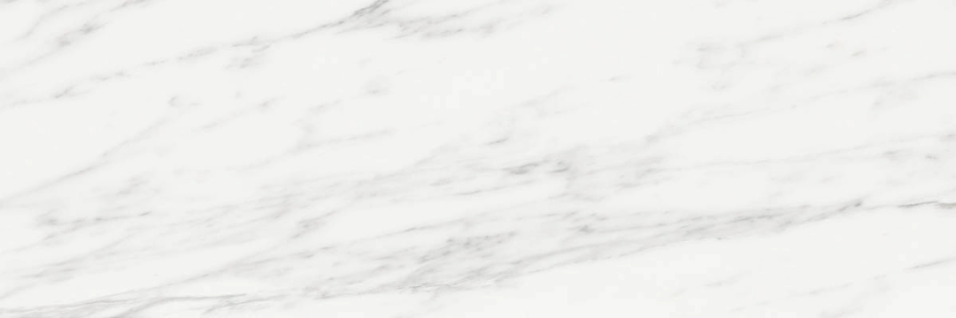155c4d81f968e525c3eb331a69b1dd01