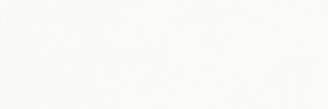 Ragno Mixed Bianco 40x120 - płytka imitująca beton