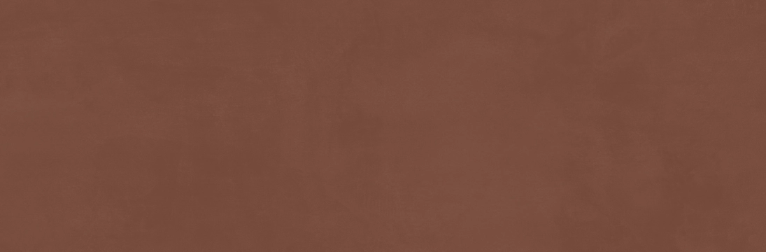 Ragno Now Terracotta 25x76 - płytka nierektyfikowana - płytka imitująca kamień
