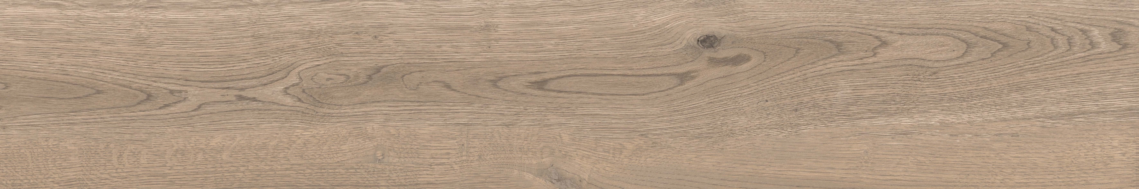 Abk Poetry Wood Ecru 20x120 - płytka drewnopodobna