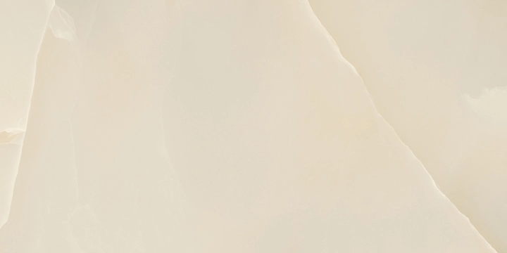 8651441c05e321e1c77df1cb12136018