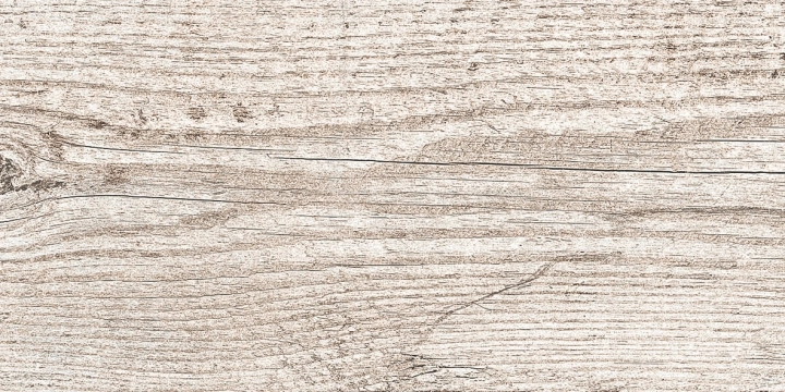 Casalgrande Padana Country Wood Bianco 60x120 - płytka drewnopodobna